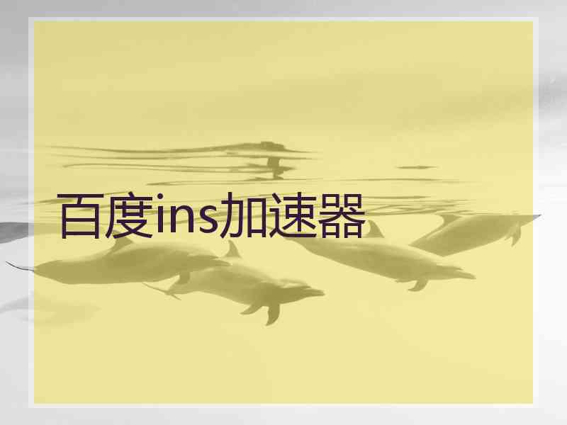 百度ins加速器