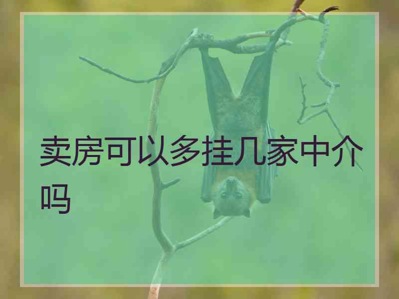 卖房可以多挂几家中介吗