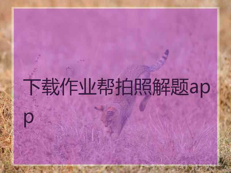 下载作业帮拍照解题app