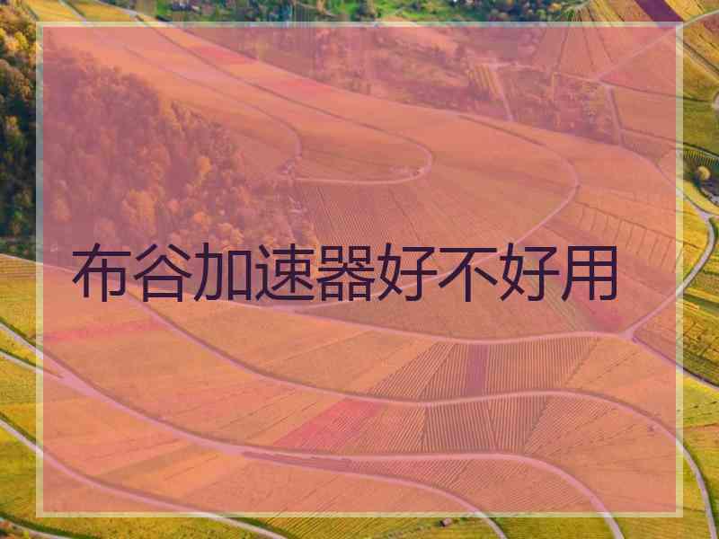 布谷加速器好不好用
