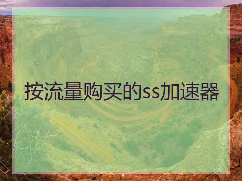 按流量购买的ss加速器