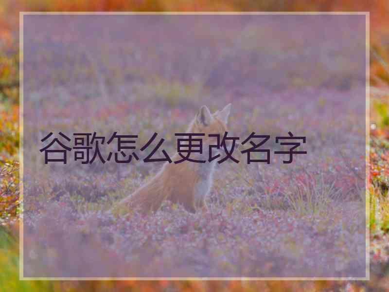谷歌怎么更改名字