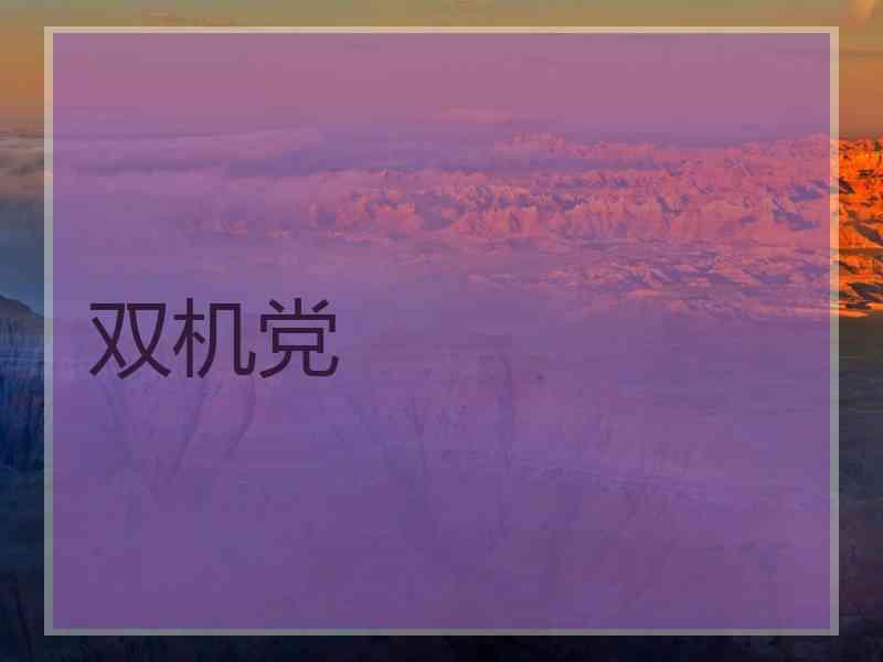 双机党