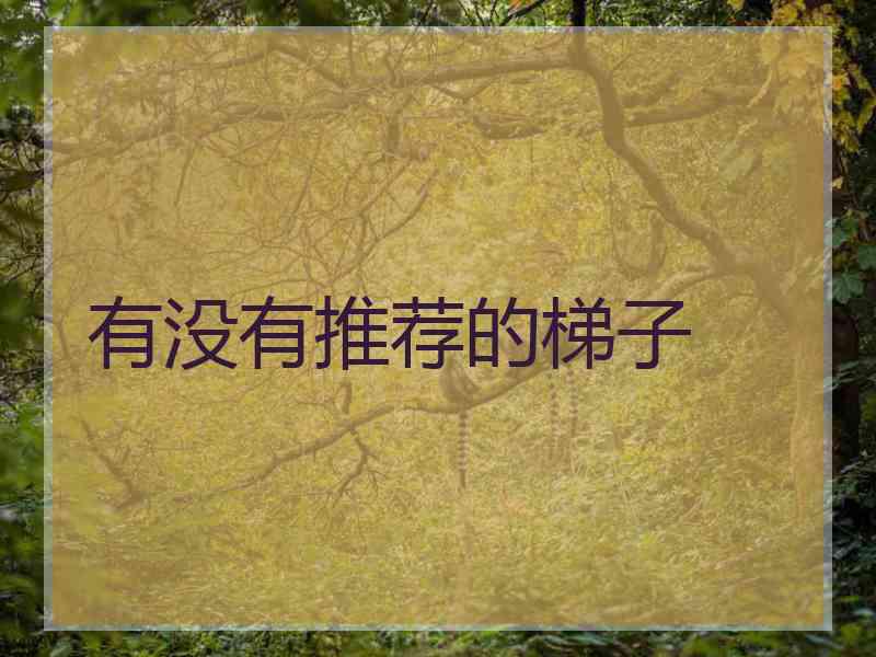 有没有推荐的梯子