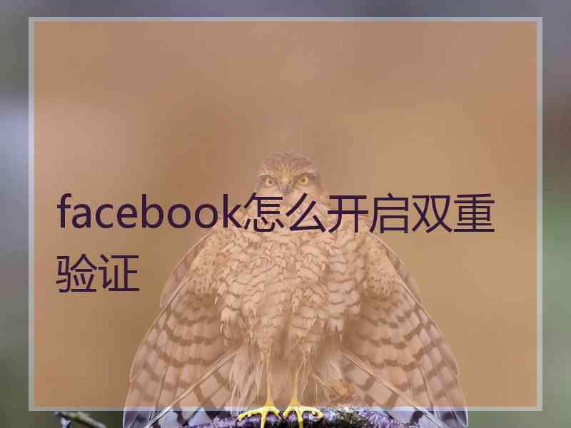 facebook怎么开启双重验证