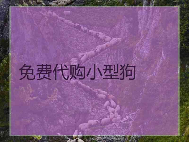 免费代购小型狗