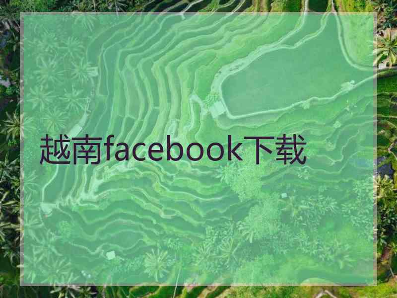 越南facebook下载