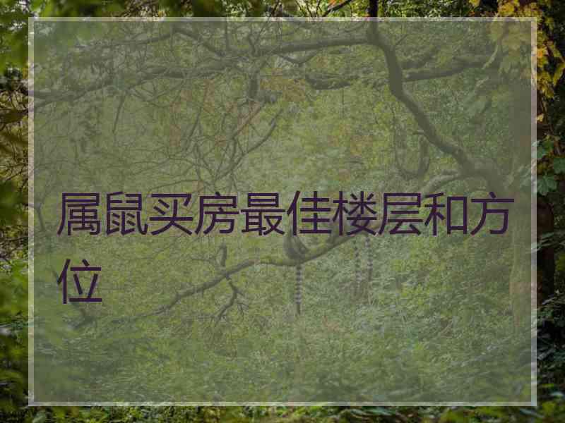 属鼠买房最佳楼层和方位