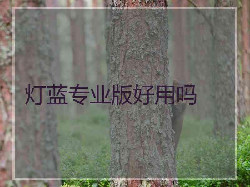 灯蓝专业版好用吗