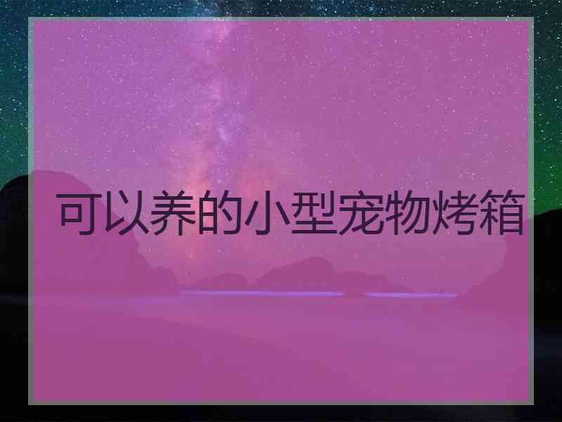 可以养的小型宠物烤箱