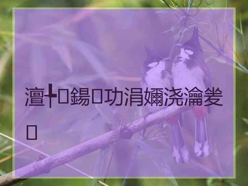 澶╄鍚功涓嬭浇瀹夎