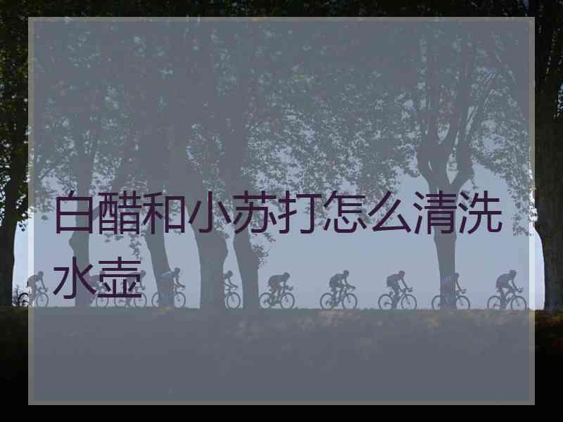 白醋和小苏打怎么清洗水壶