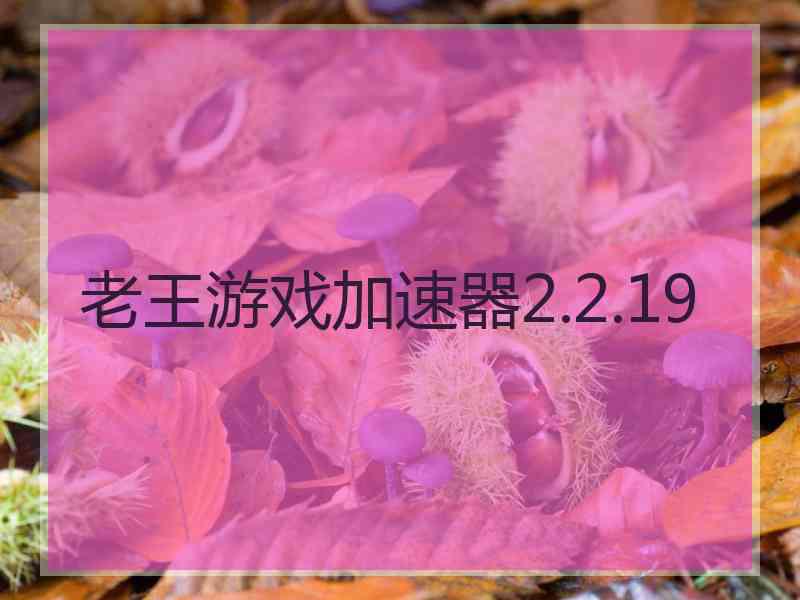老王游戏加速器2.2.19