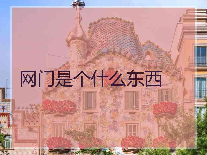 网门是个什么东西