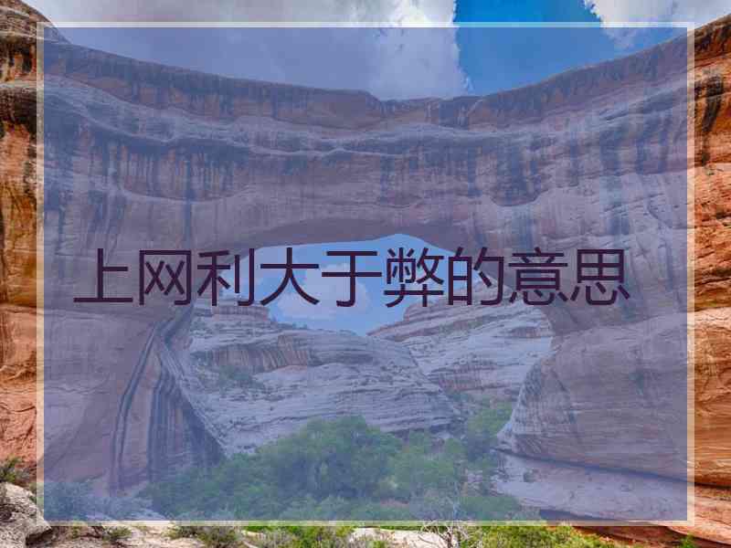 上网利大于弊的意思