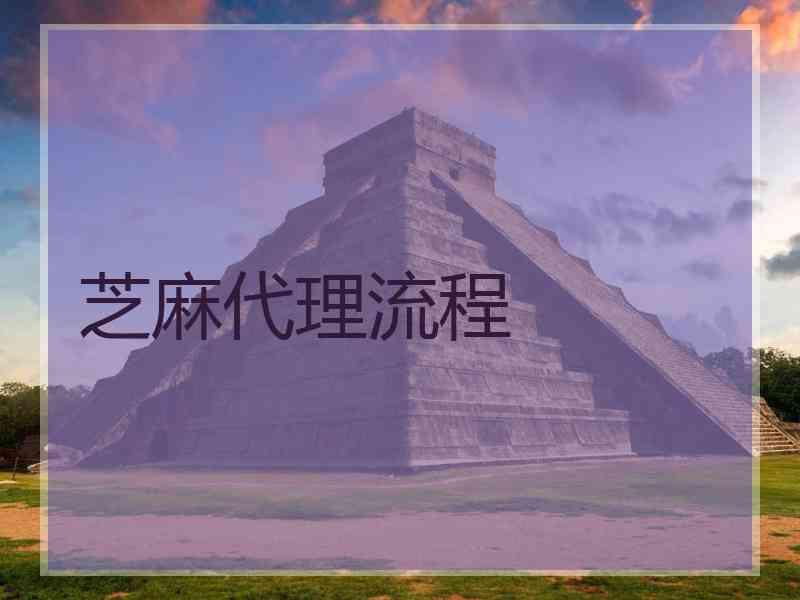 芝麻代理流程