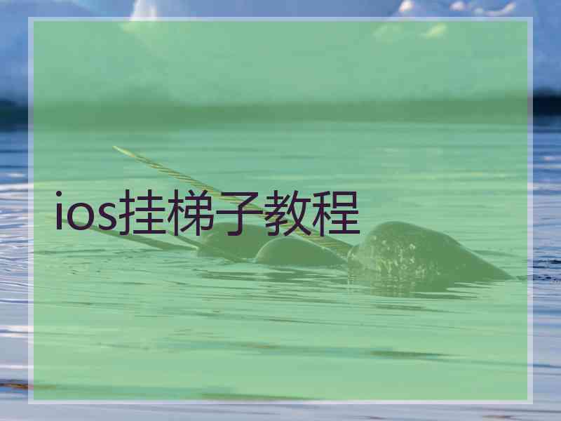 ios挂梯子教程