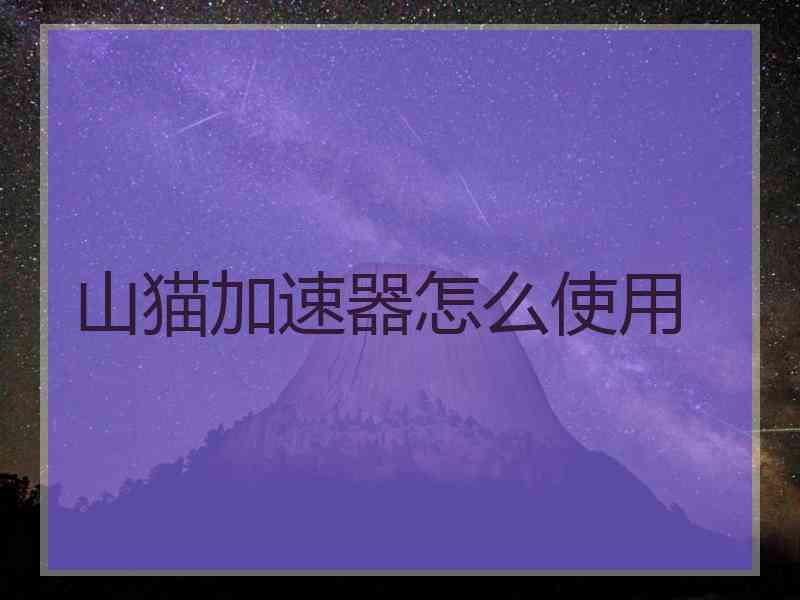 山猫加速器怎么使用