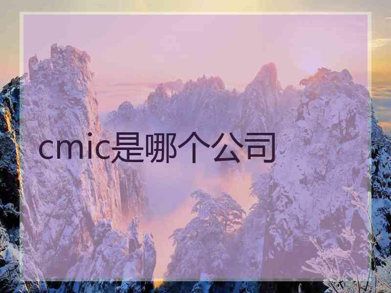 cmic是哪个公司