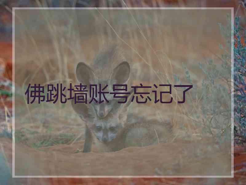 佛跳墙账号忘记了