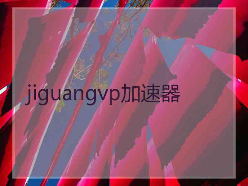 jiguangvp加速器
