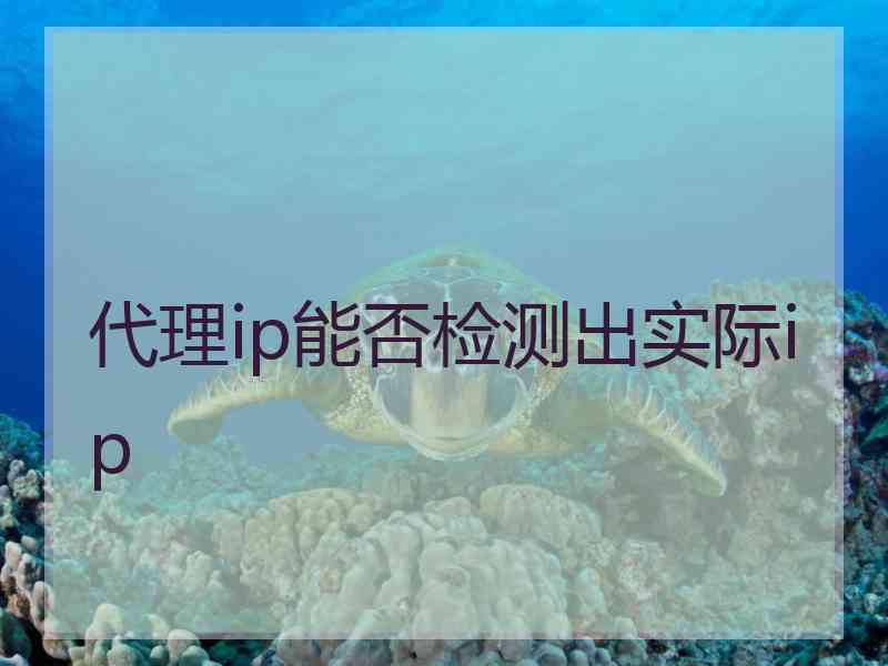代理ip能否检测出实际ip
