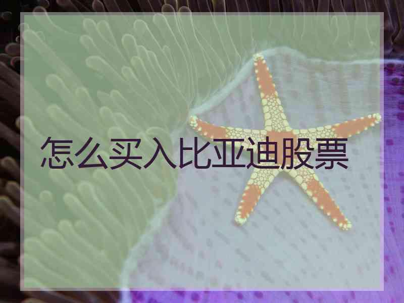 怎么买入比亚迪股票
