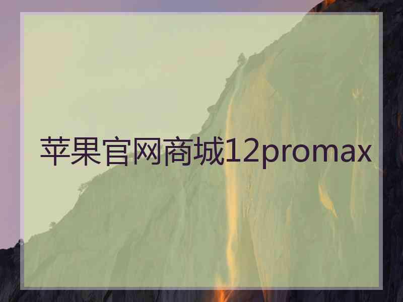 苹果官网商城12promax