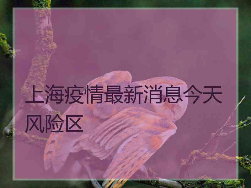 上海疫情最新消息今天风险区