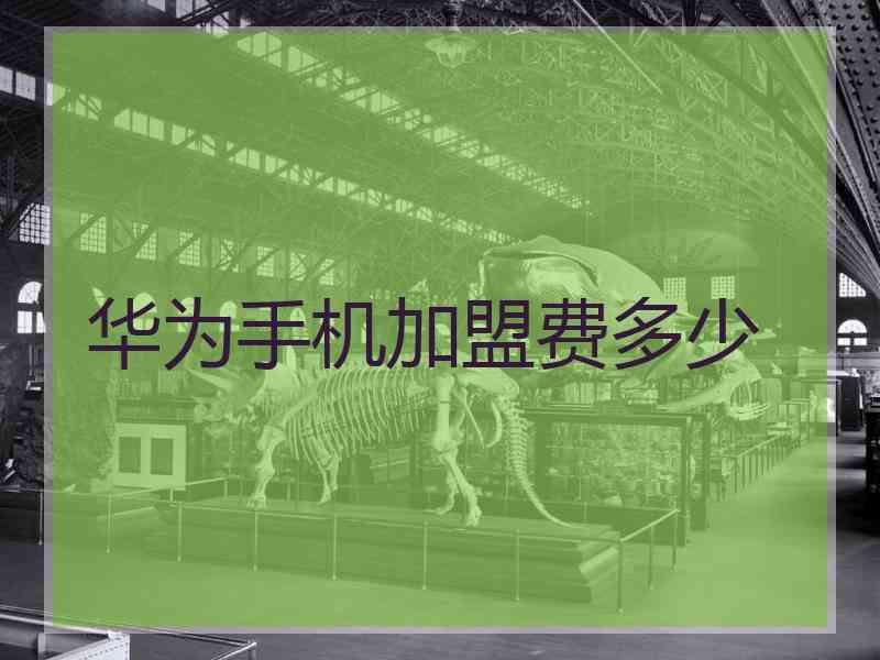 华为手机加盟费多少