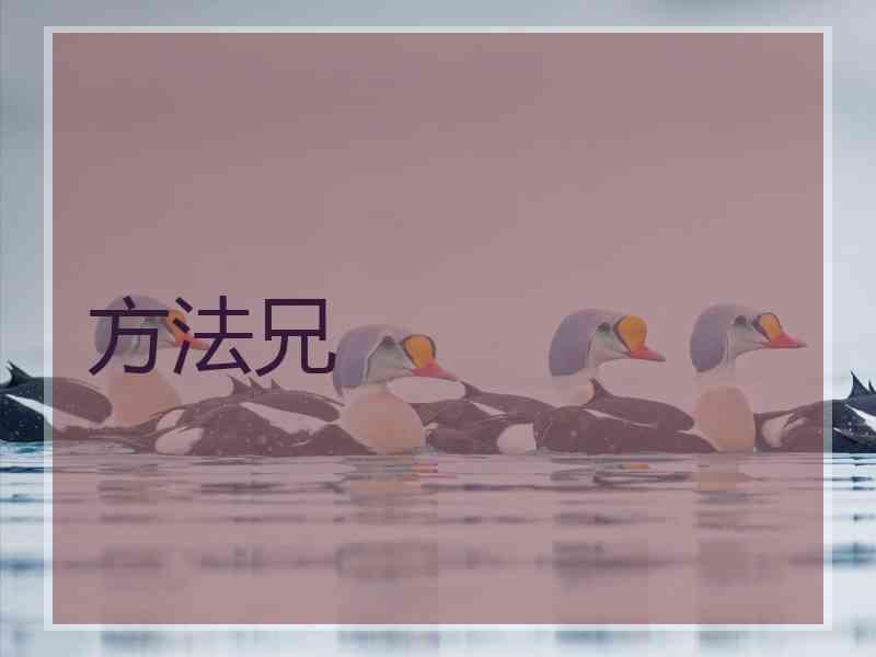 方法兄