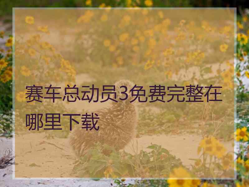 赛车总动员3免费完整在哪里下载