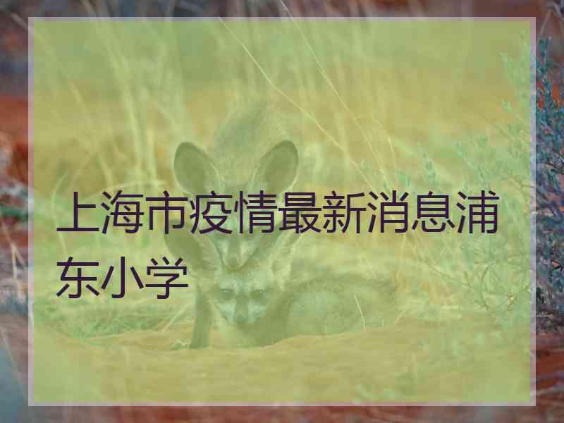 上海市疫情最新消息浦东小学