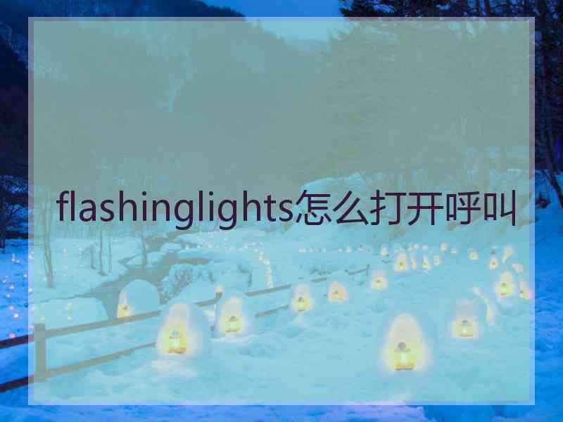 flashinglights怎么打开呼叫
