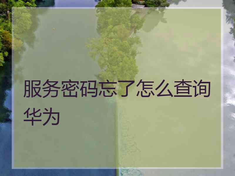 服务密码忘了怎么查询华为
