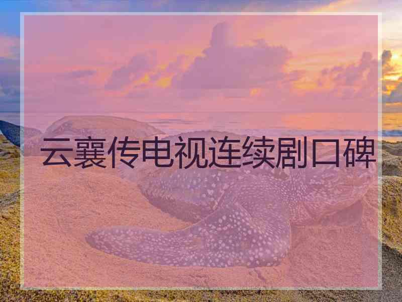 云襄传电视连续剧口碑