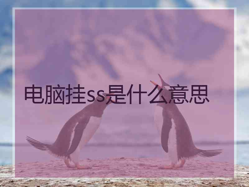 电脑挂ss是什么意思