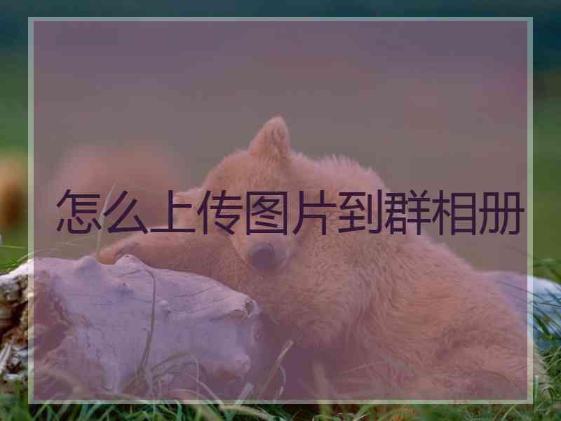 怎么上传图片到群相册
