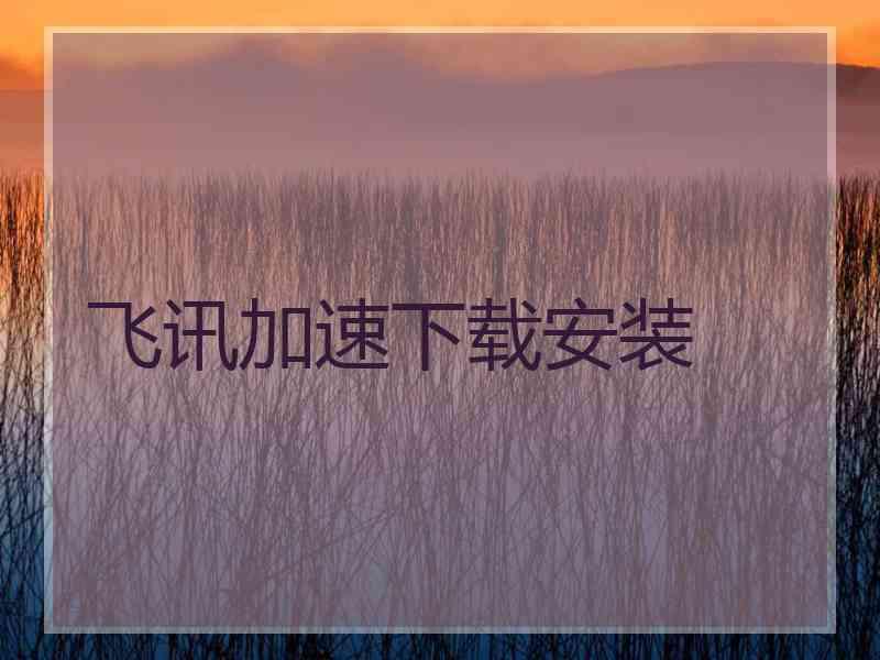 飞讯加速下载安装