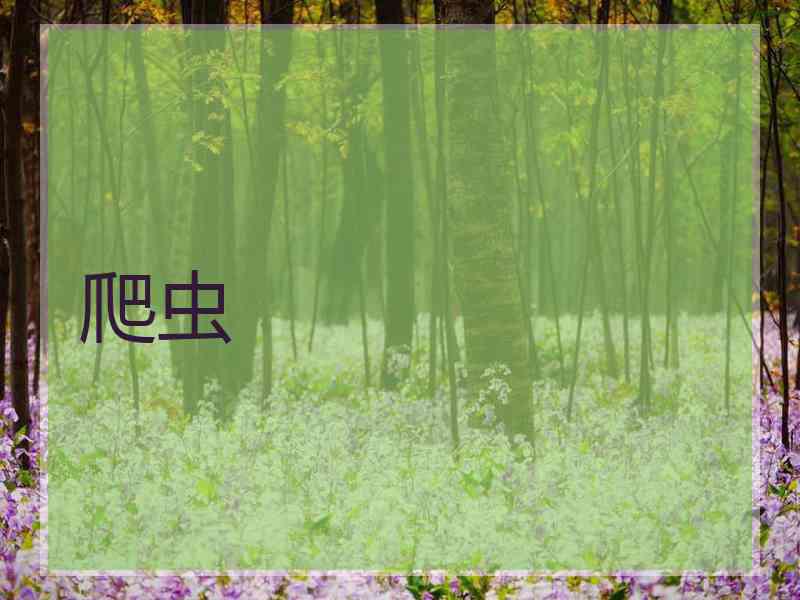 爬虫