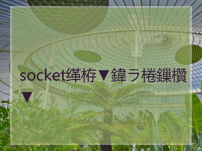 socket缂栫▼鍏ラ棬鏁欑▼