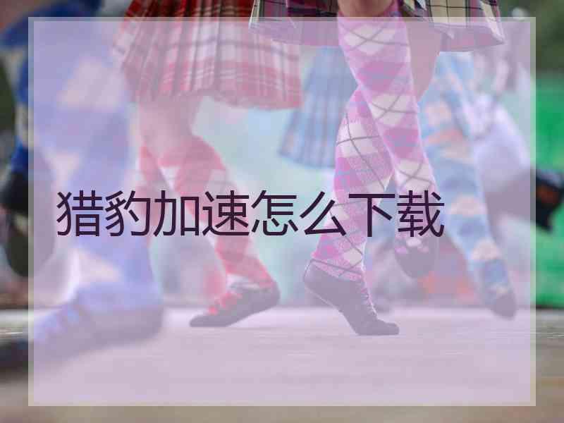 猎豹加速怎么下载