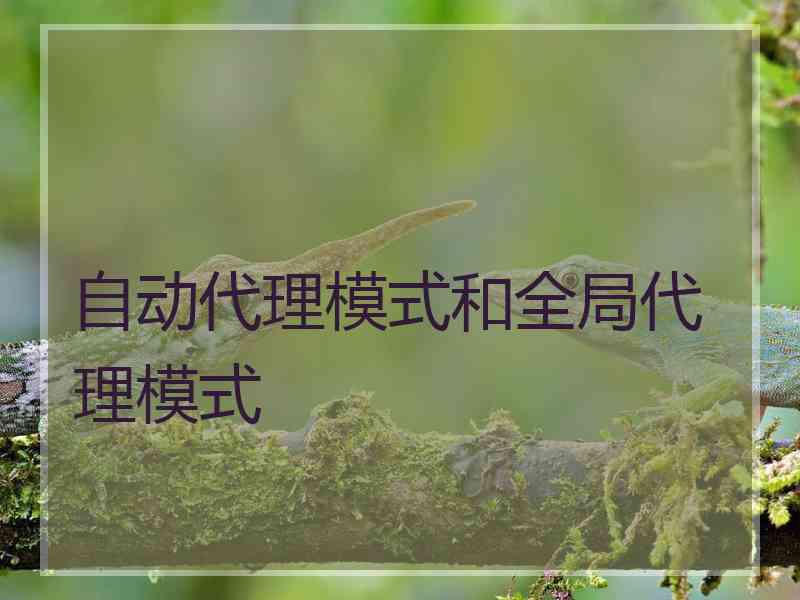 自动代理模式和全局代理模式