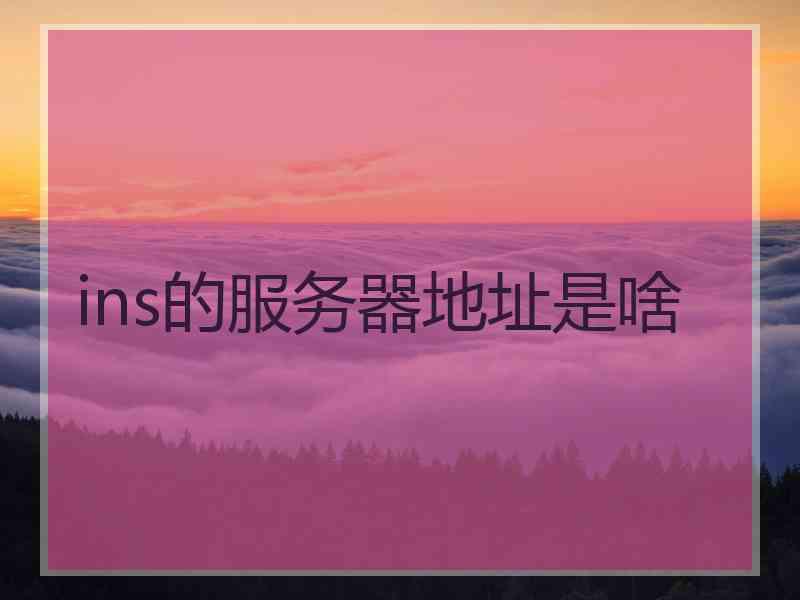 ins的服务器地址是啥