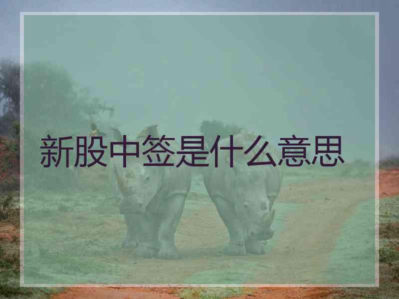 新股中签是什么意思