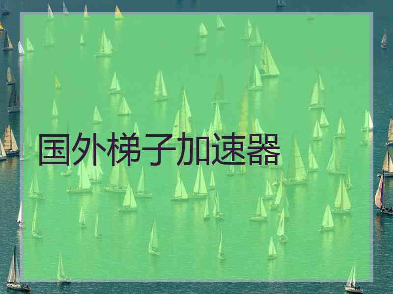 国外梯子加速器