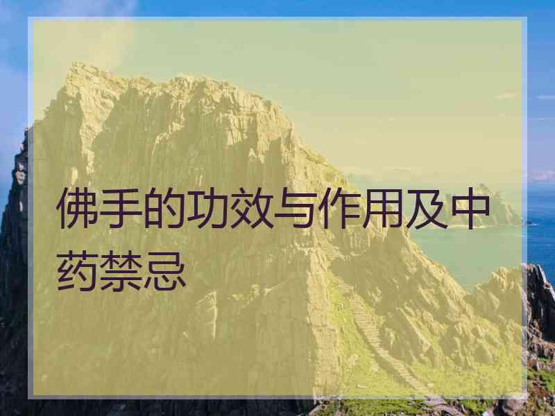 佛手的功效与作用及中药禁忌