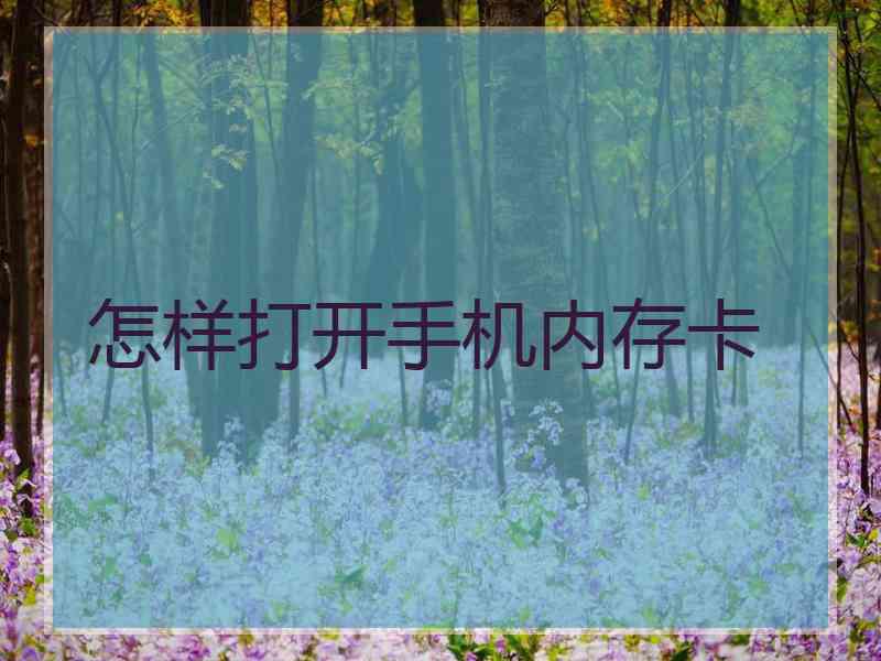 怎样打开手机内存卡