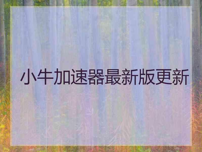 小牛加速器最新版更新