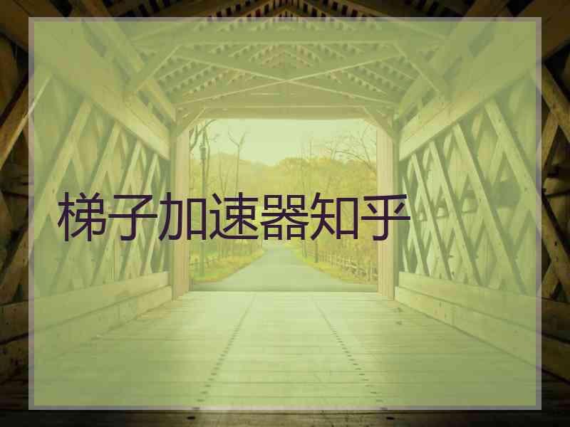 梯子加速器知乎